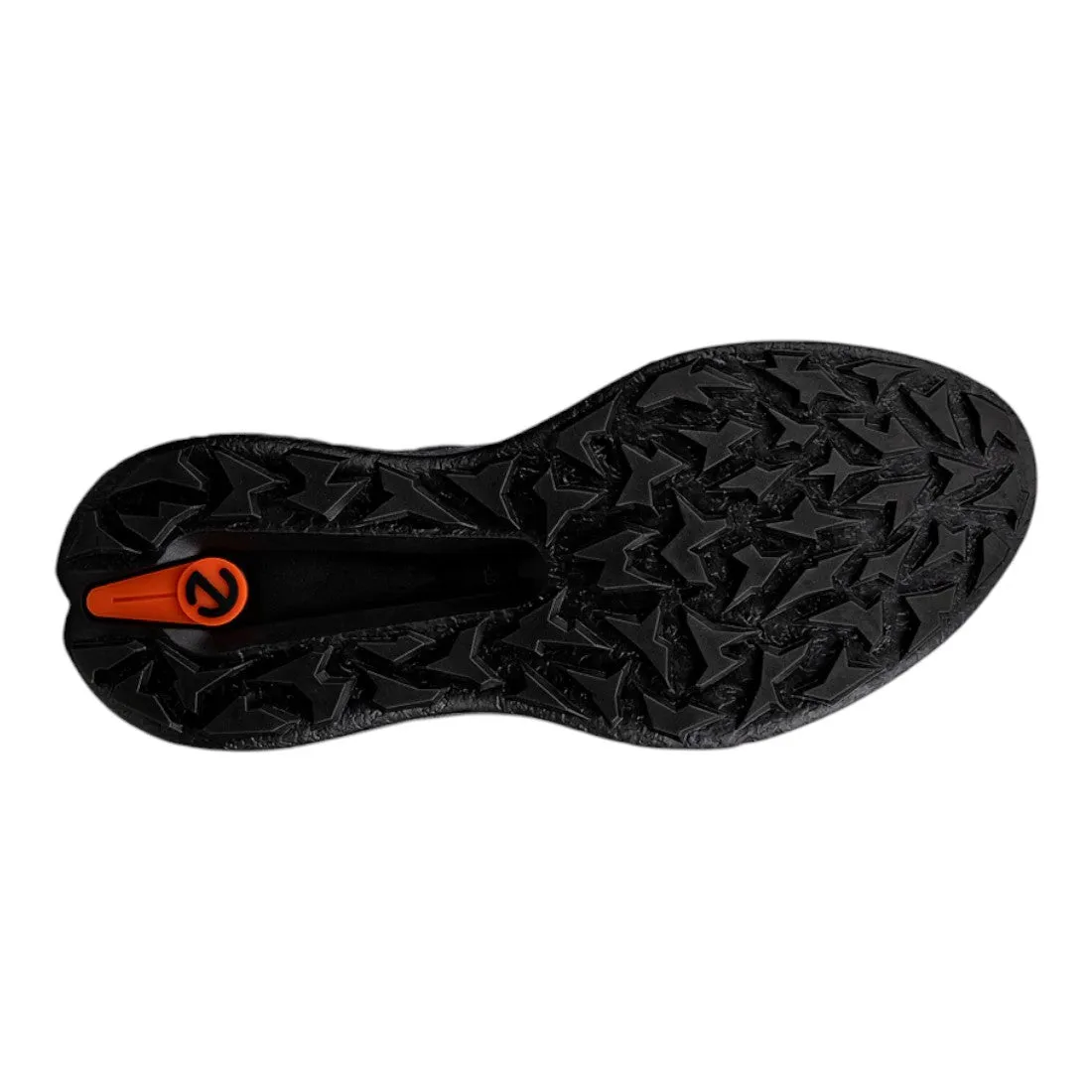 Ecco Biom H5 Golf Shoes 138014
